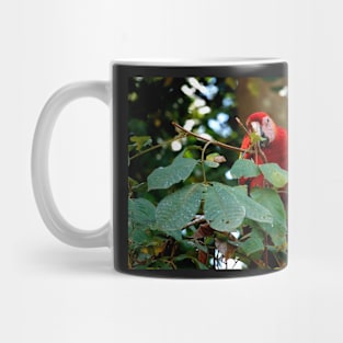 Grand perroquet, site de Copán Ruinas au Honduras Mug